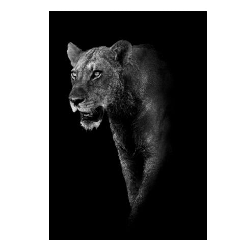 c9d17969beaea02b3f6bc2a7c7bd495c